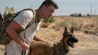 Channing Tatum plays a former US Army Ranger who agrees to escort  a Belgian Shepherd named Lulu to a funeral in Dog.