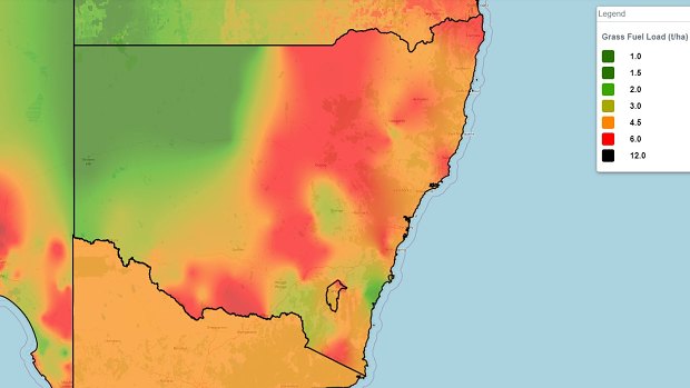 NSW RFS maps show big grass fuel loads in the west.
