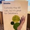 Curiosity may kill cats, but it’s great for Deloittians, says Deloitte.