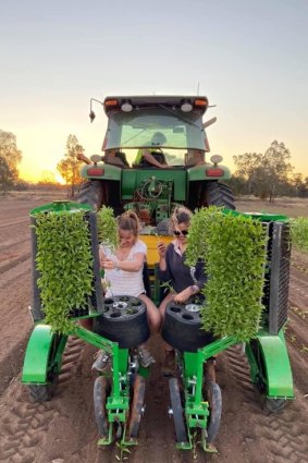 Alanna Rennie takes a break from work by harvesting chillies on her family farm. 