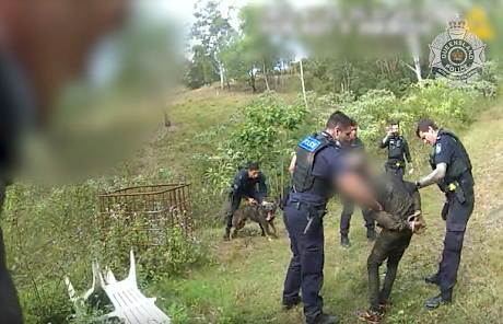 The pair were arrested after a long pursuit.