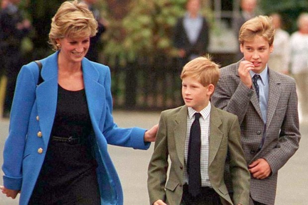 Prince William with Diana, Princess of Wales and Prince Harry in 1995. Picture: Getty