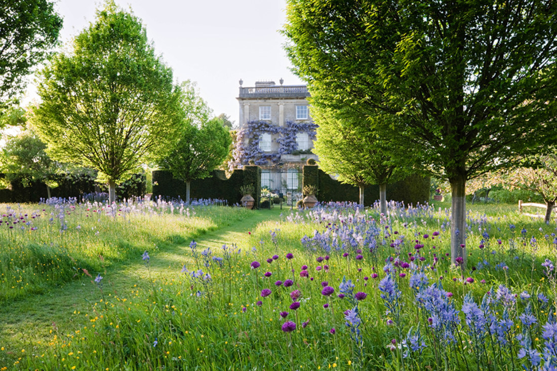 British lawns cheap