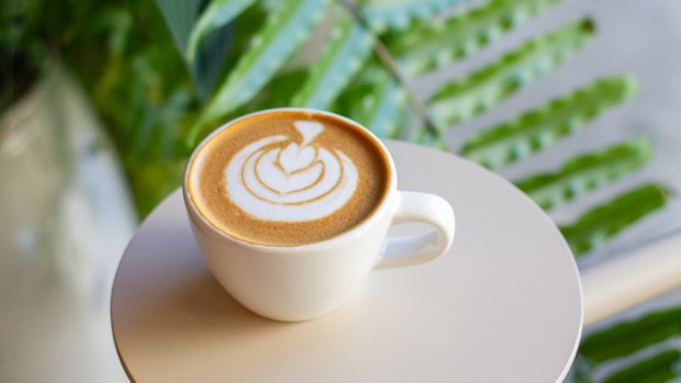Rumble is a specialty coffee roaster in Kensington.