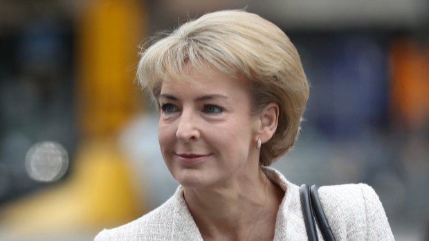 Michaelia Cash has denied having any prior knowledge of the AWU raids, despite staffers being implicated in leaks.