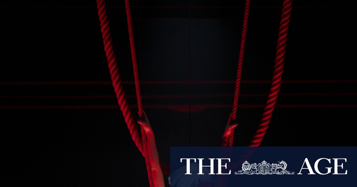 Review of Opera Australia's Madama Butterfly - Vimarsana News