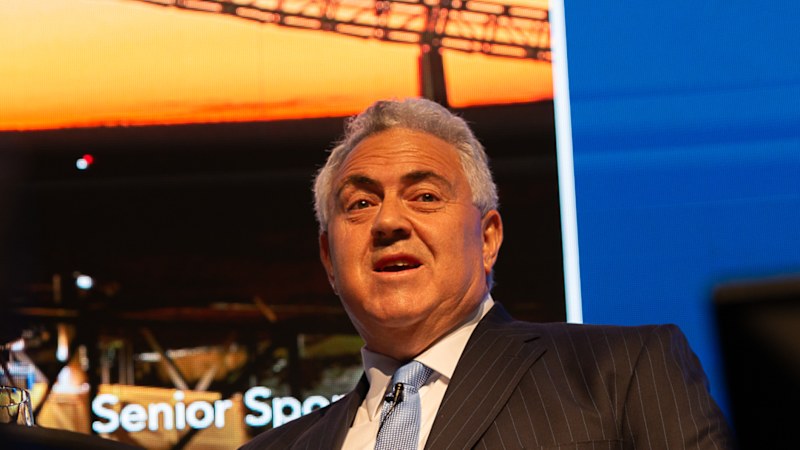 Hockey defends Lee family, saying ATO chases ‘every wealthy person'