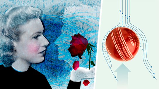 Year in Review: Explainers