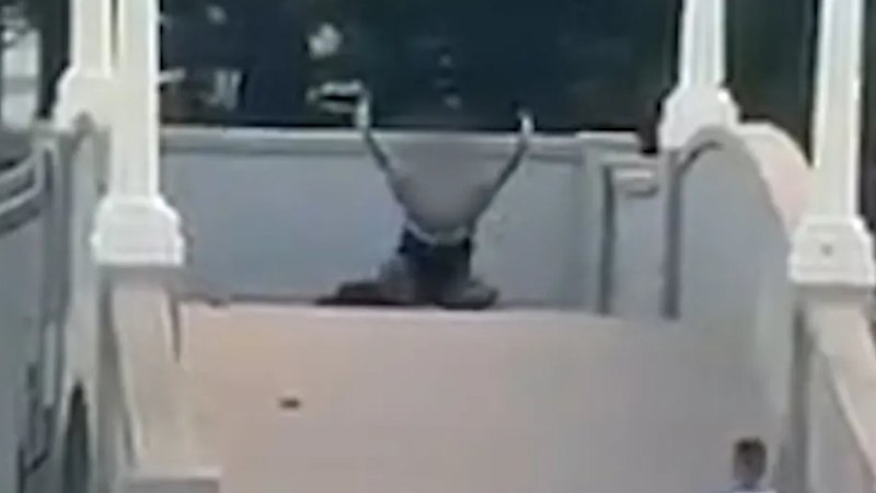 Bondi hero who ran toward gunman facing deportation