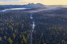 Images from “Australia’s Amazon”.