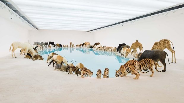 Cai Guo-Qiang's Heritage room was inspired by a trip to North Stradbroke Island in 2011.