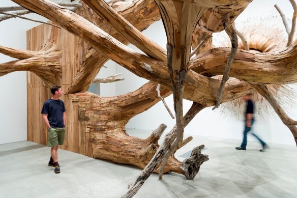 Into the woods: Brazilian artist Henrique Oliveira was commissioned to create this installation for QAGOMA’s show.