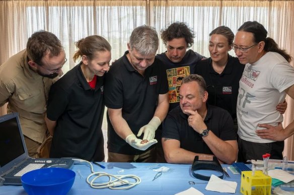 BioRescue project team members with the 70-day rhino embryo.