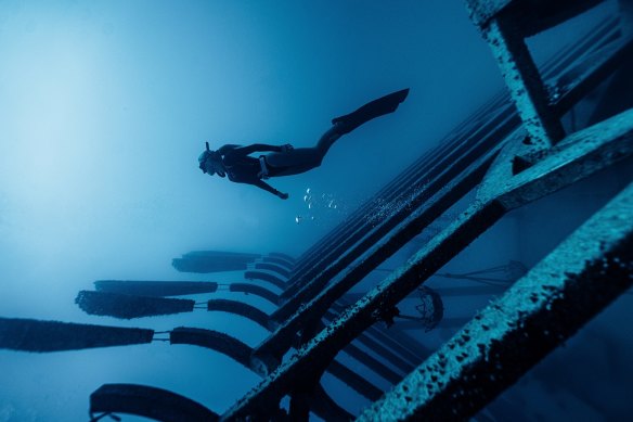 Take an ECO Certified dive tour of the breathtakingly beautiful installation at The Museum of Underwater Art (MOUA).