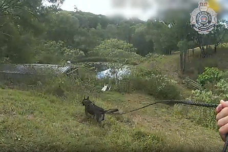 Police dog Stryker was deployed in the search when the men fled the vehicle.