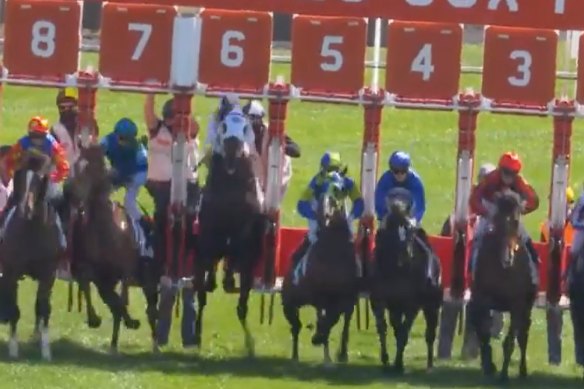 Jockey Dwayne Dunn, riding Shot Of Irish in barrier six, hits his head on the starting barriers at Moonee Valley on September 5, 2020.