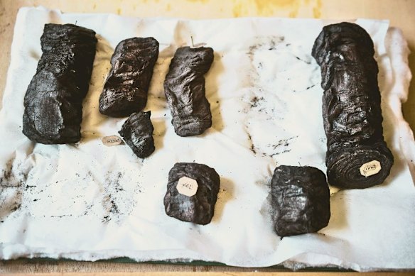 Scrolls from Herculaneum carbonised when Mount Vesuvius erupted in 79AD; the only library that survives from Greco-Roman antiquity.