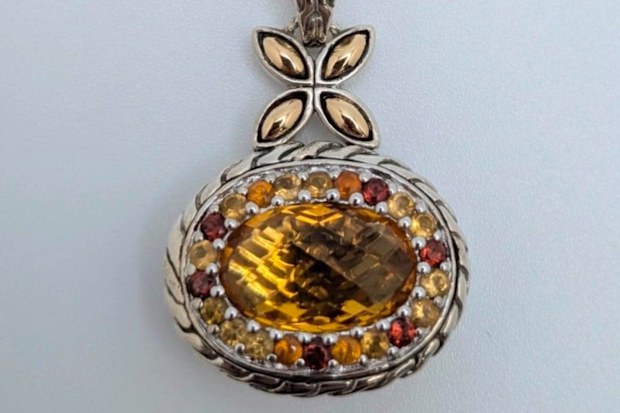 One possible lead is a missing necklace that Sally Contarino may have been wearing on her trip.