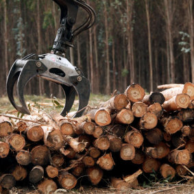 Timber exports could be the next target. 