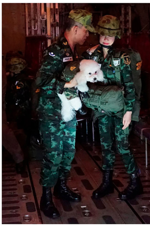 The king with consort Sineenat Bilaskalayani and a pet dog on a military aircraft in August 2019. 