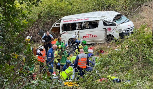 Rescuers at the crash site on Mount View Road.
