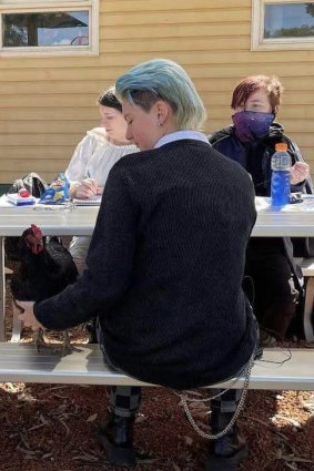 Students sit with one of the therapy chickens during a break.