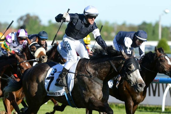 Nicholas Hall steers Fawkner to Caulfield Cup victory for Team Williams in 2013.