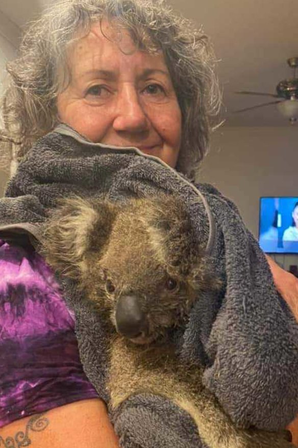 Beaufort wildlife carer Esther Hands with a juvenile male koala rescued from fires she took to Werribee Zoo.