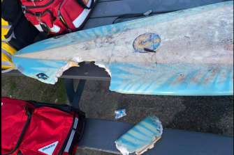 The damaged surfboard after the attack.