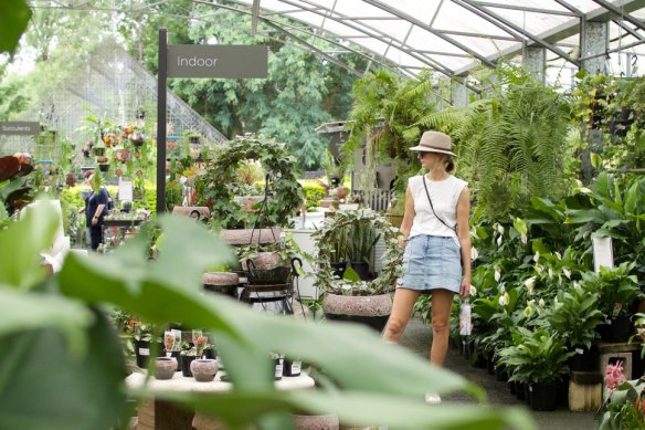 The Brookfield Gardens nursery has bounced back from being flooded in 2022.