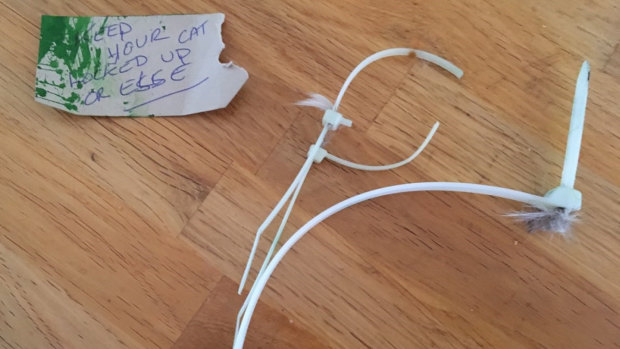 The cable ties that were cut off the cat, along with a threatening note.