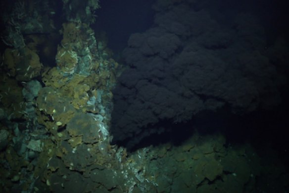 A “black smokers” hydrothermal vent found near Puerto Rico.