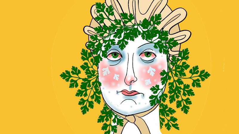 My dog relieved himself on my parsley plant. Are my garden herbs safe to eat?