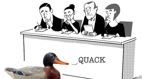 Simon Letch online opinion 26th Aug