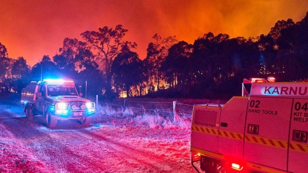 Three homes lost as fire tears through bushland in WA’s south