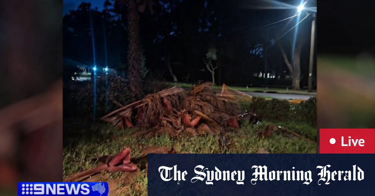 WA news LIVE: Severe storm leaves Perth family without power for days