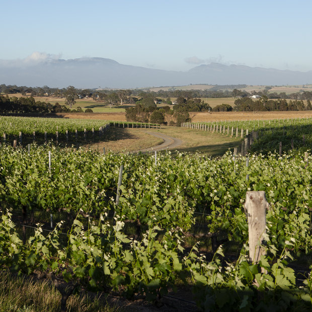 Best’s in Victoria’s Great Western wine-growing region.