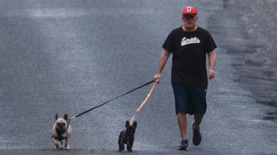 Disgraced One Nation MP Mark Latham on an early morning walk with his dogs near his home on Saturday.