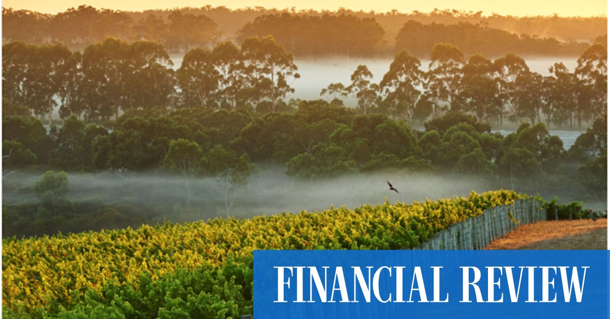 Endeavour Group snares WA's Cape Mentelle from Louis Vuitton Moet Hennessy - Vimarsana News