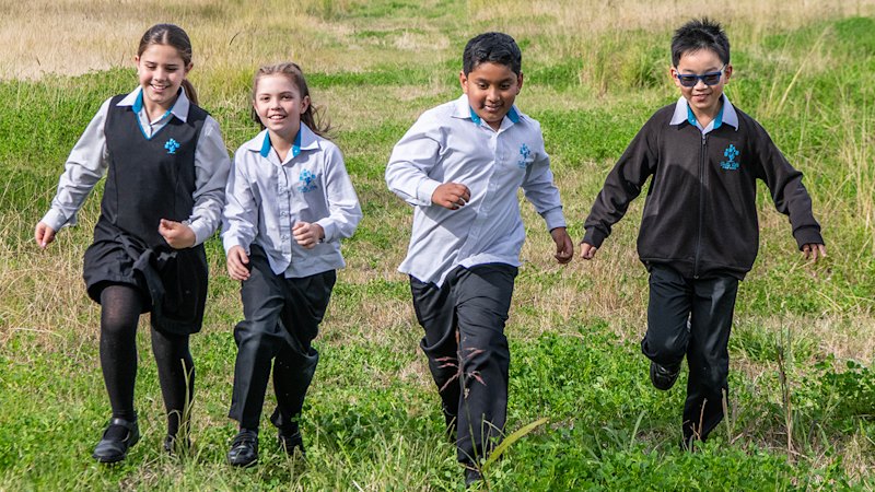 Revealed: Two new Sydney schools to ease growing suburb’s crowding crisis