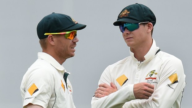 Punished: Steve Smith and David Warner are serving 12-month bans from playing for Australia.