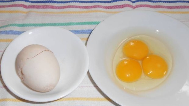 The triple-yolker egg cracked in a kitchen on a farm near Dubbo.