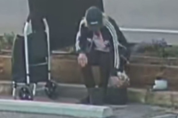 An alleged flower thief has been caught on CCTV ripping flowers from the garden beds of Adelaide businesses, leaving the owners bewildered.