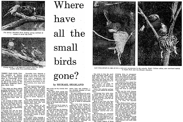 Michael Sharland wrote stories about urban bird conservation and scientific findings in The Sydney Morning Herald and other newspapers for decades.