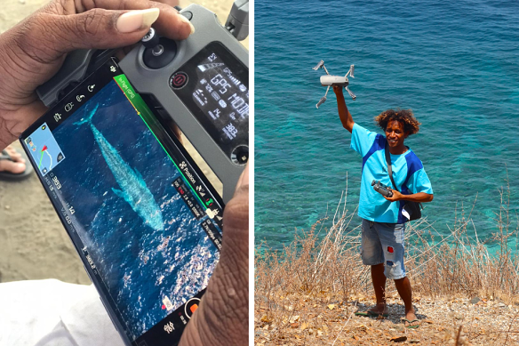 Local fisherman Zacarias da Cunha captured rare footage of blue whale courtship.