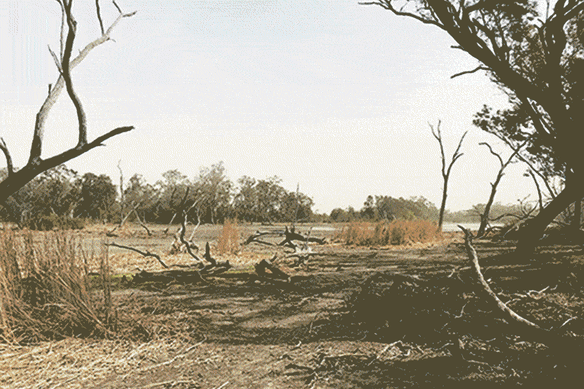 Before and After of Murray Darling Basin