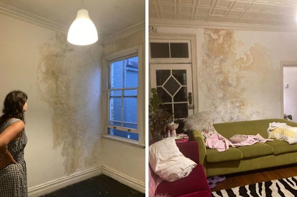 Sydney renters living alongside entire walls contaminated with mould.