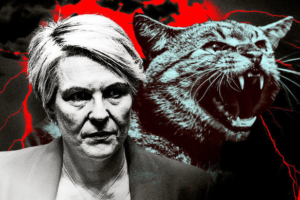 Environment Minister Tanya Plibersek will release a feral cat management plan by the end of the year.