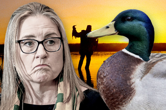 Premier Jacinta Allan is weighing a duck hunting ban. 