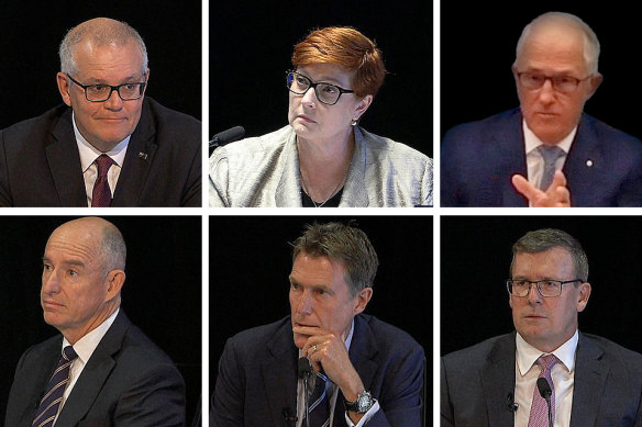 Former Liberal ministers (clockwise from top left) Scott Morrison, Marise Payne, Malcolm Turnbull, Alan Tudge, Christian Porter and Stuart Robert gave evidence at the royal commission.